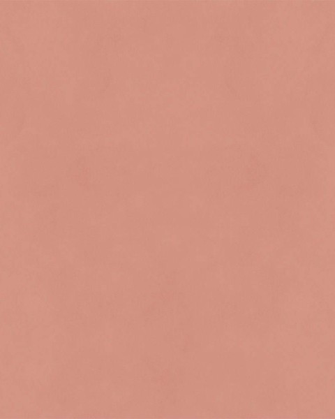 Hatte Me! Palette | 26 Coral